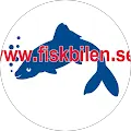 Markus Hendriksen Avatar